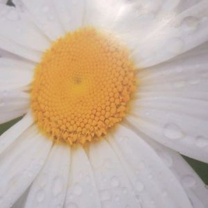 Meet your Posher, Marina